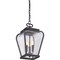 Quoizel Province 3-Light Mystic Black Mini Pendant PRV1509K - alternate 4